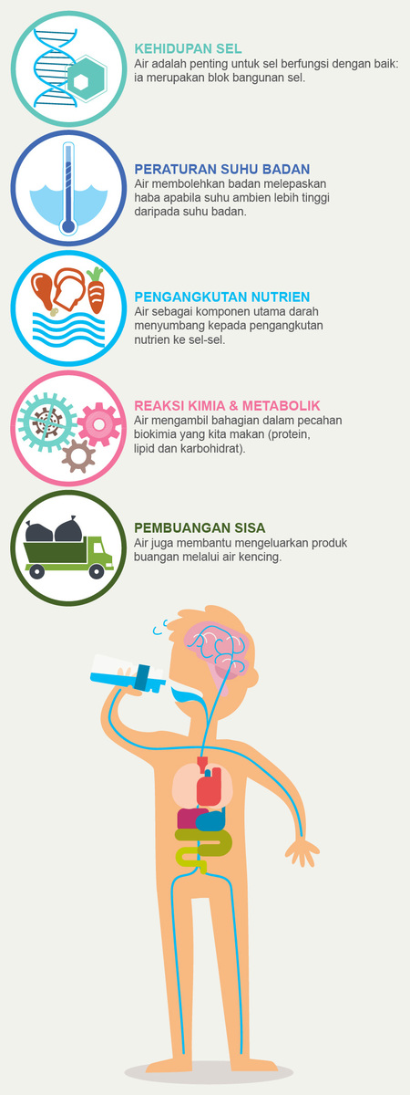 Air Bersih Penapis Air Bio Pure Elken Malaysia